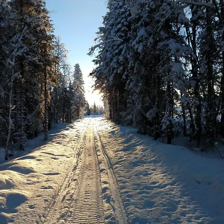 Lapland Snow Moose Villa Vittangi Kapell Exterior photo