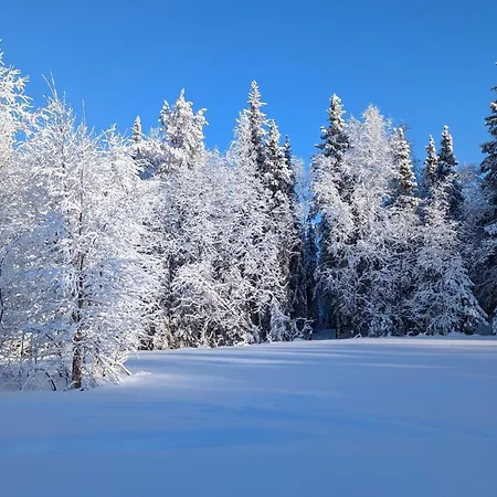 Lapland Snow Moose Villa Vittangi Kapell Exterior photo