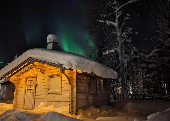 Lapland Snow Moose