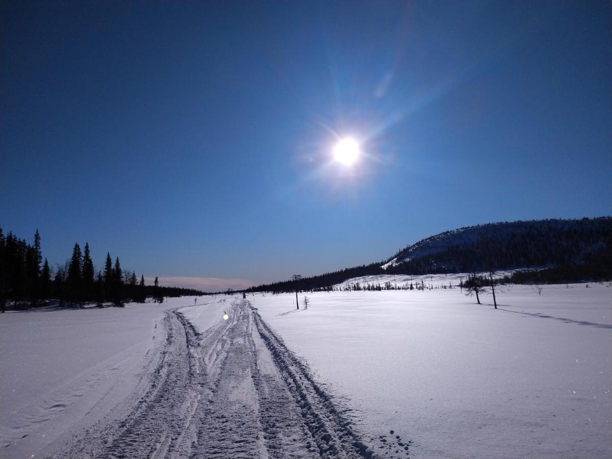 Lapland Snow Moose * Vittangi Kapell