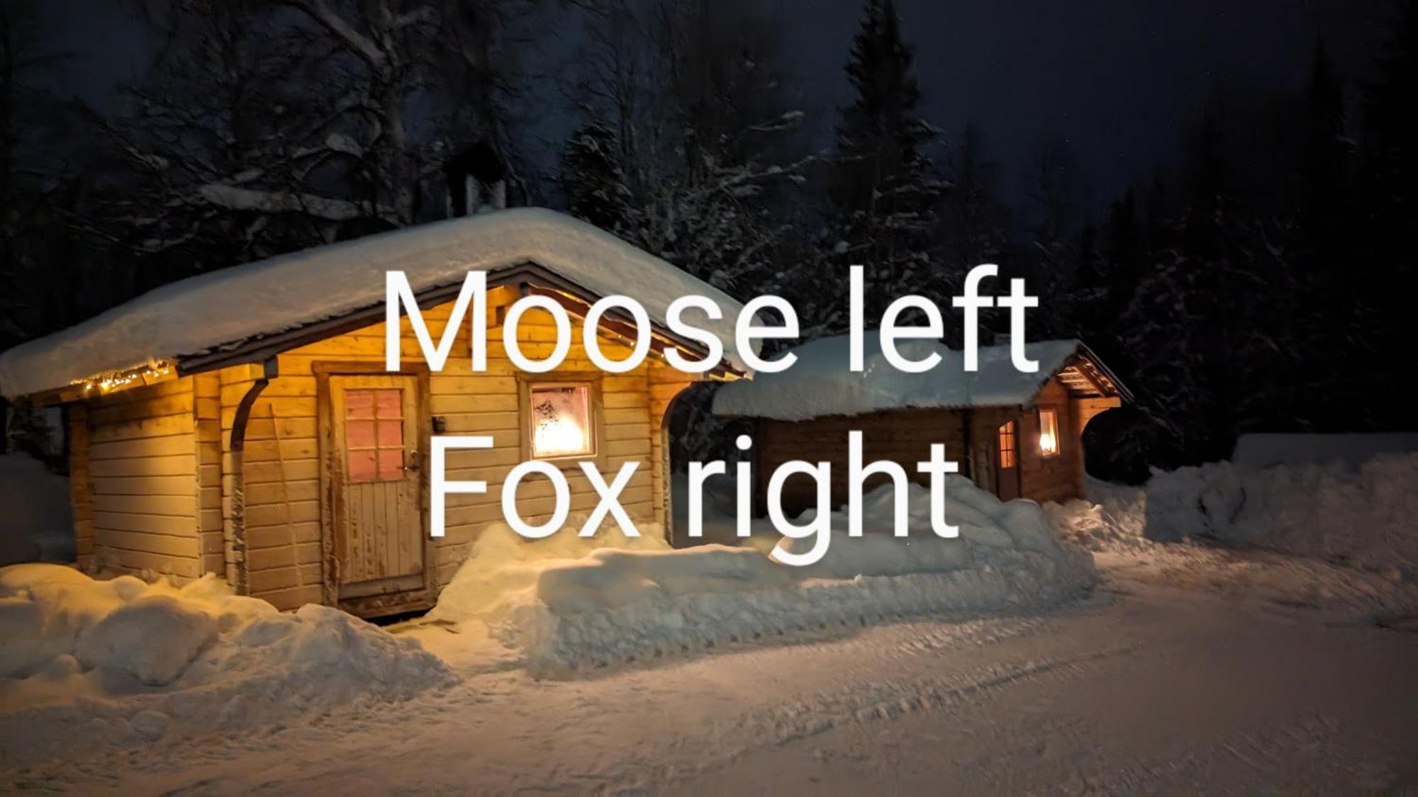 Lapland Snow Moose Lodge *