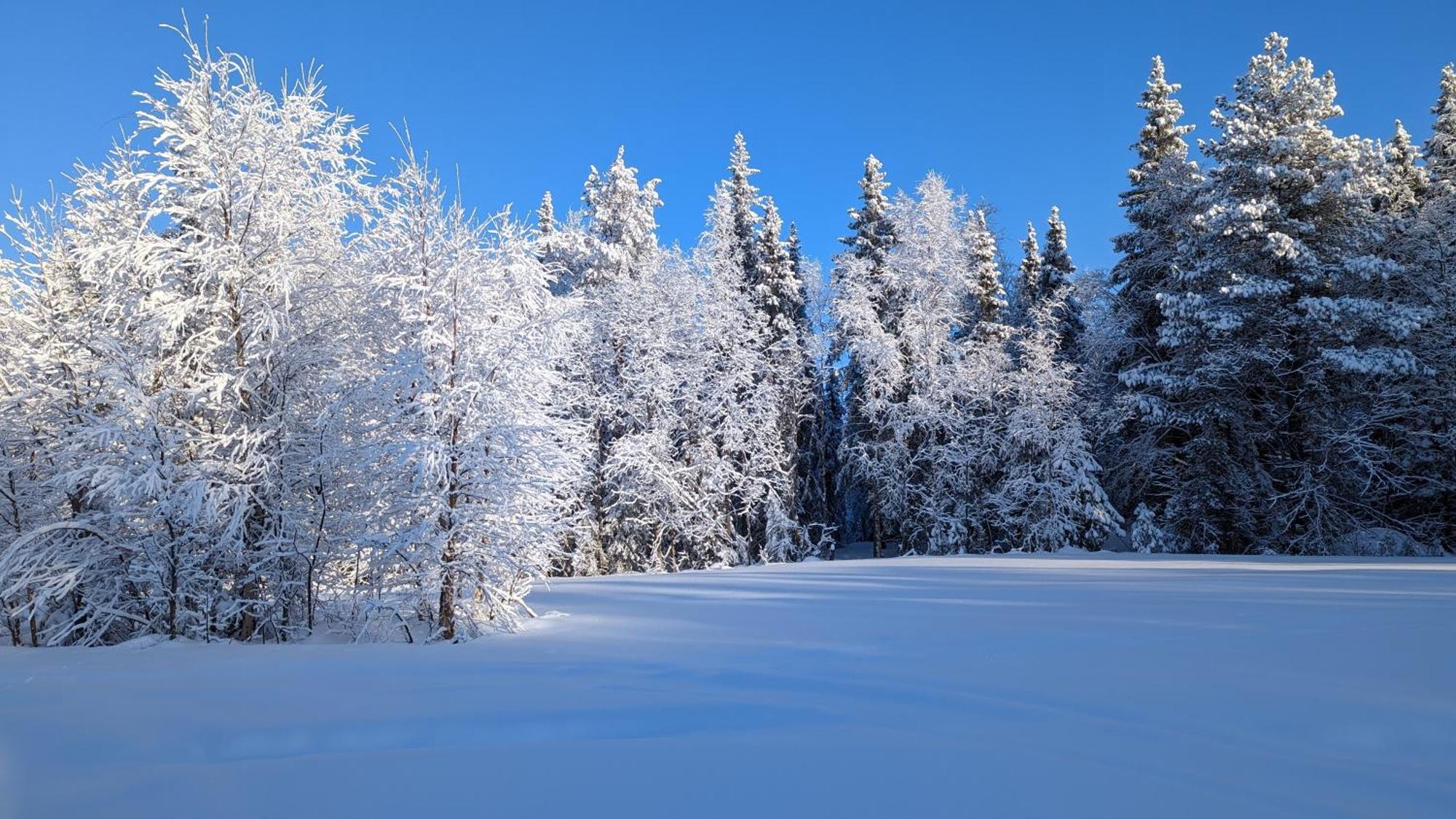 Lapland Snow Moose Lodge Vittangi Kapell